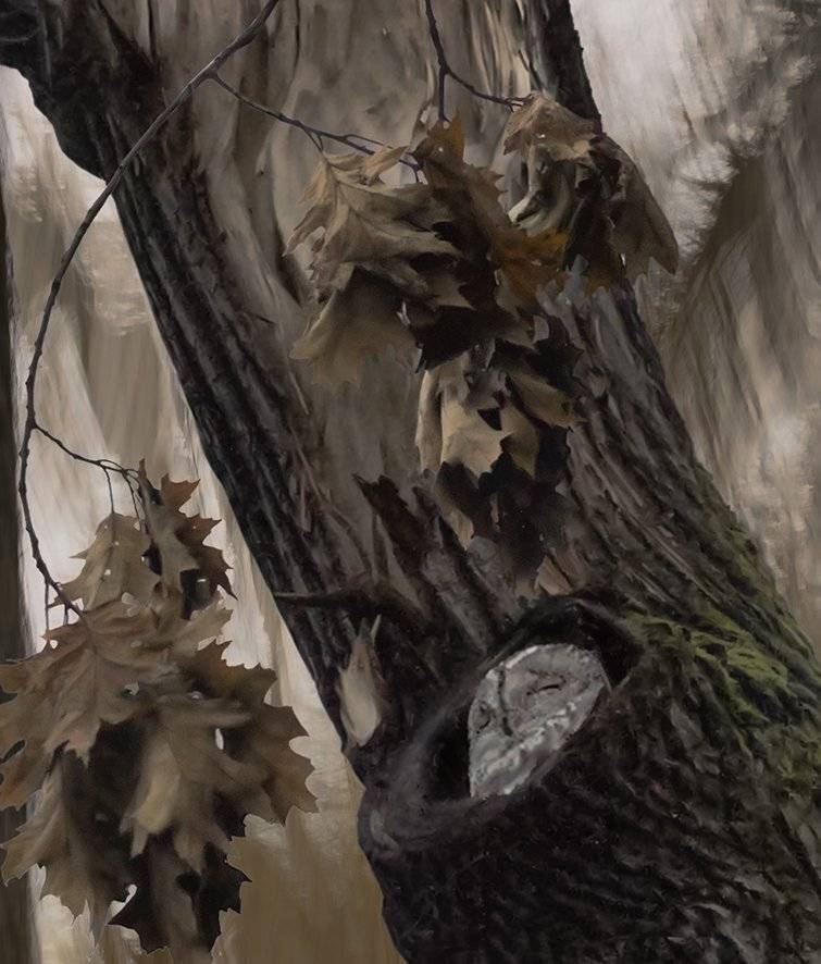 Дневной сон. Автор: T. Bondarenko , T. Bondarenko