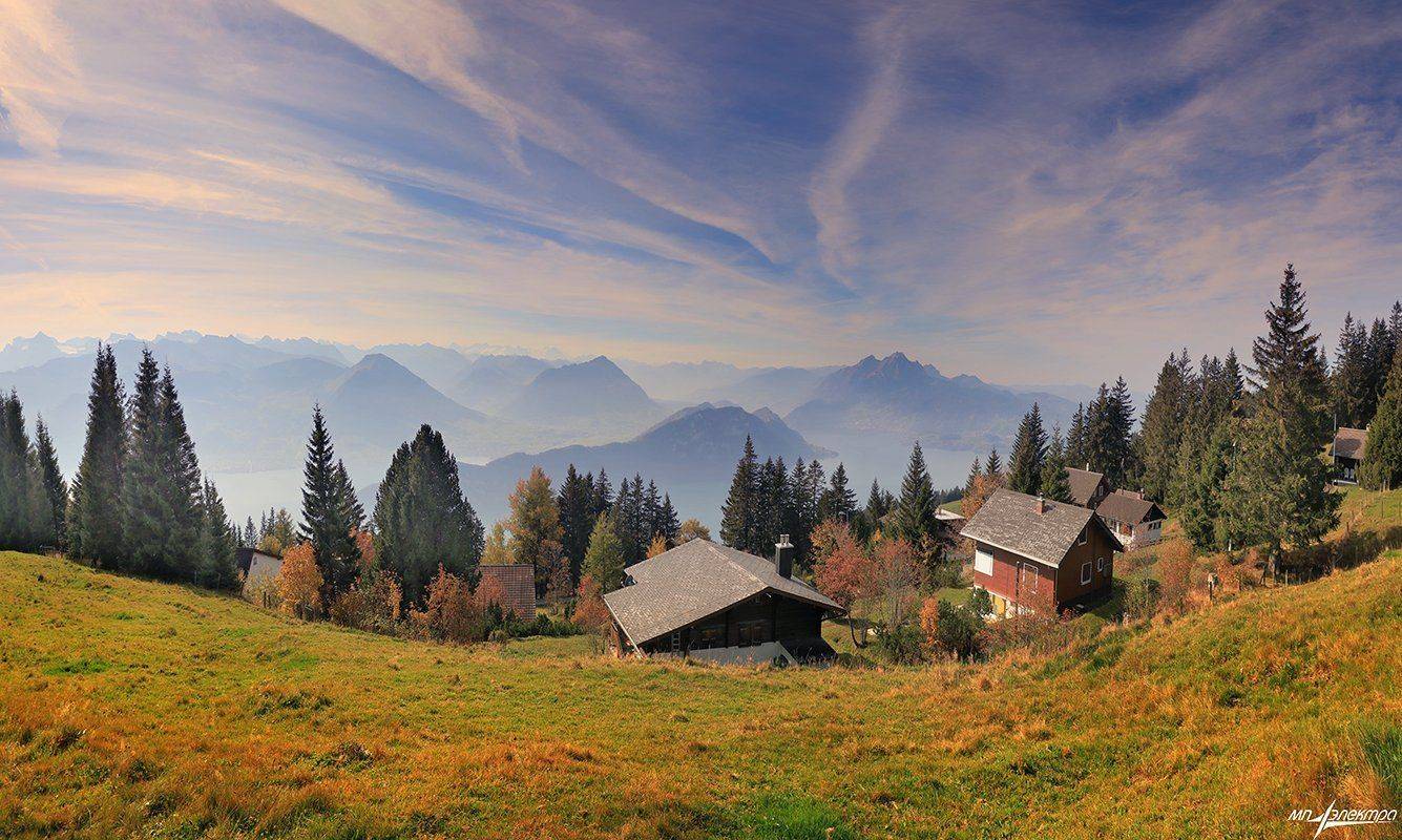 swiss, Матвеев Николай