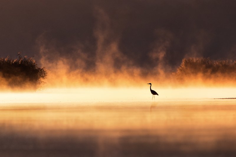 Single фото превью