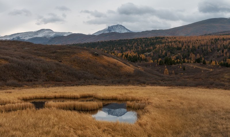 горный алтай, улаганский перевал Око фото превью
