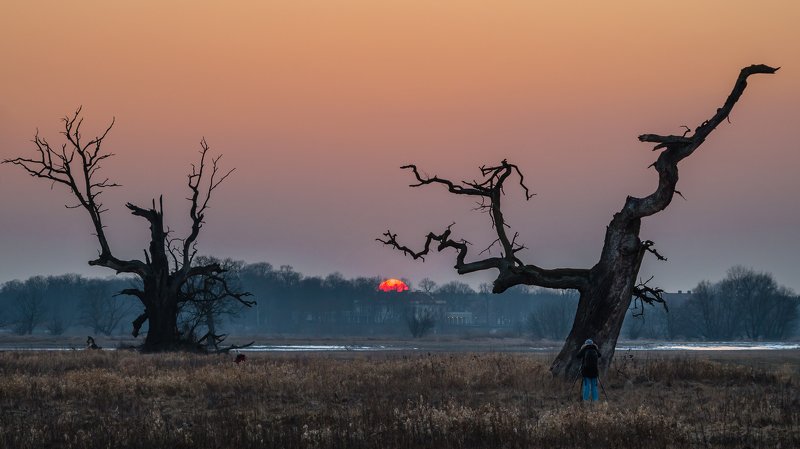 Evening show фото превью