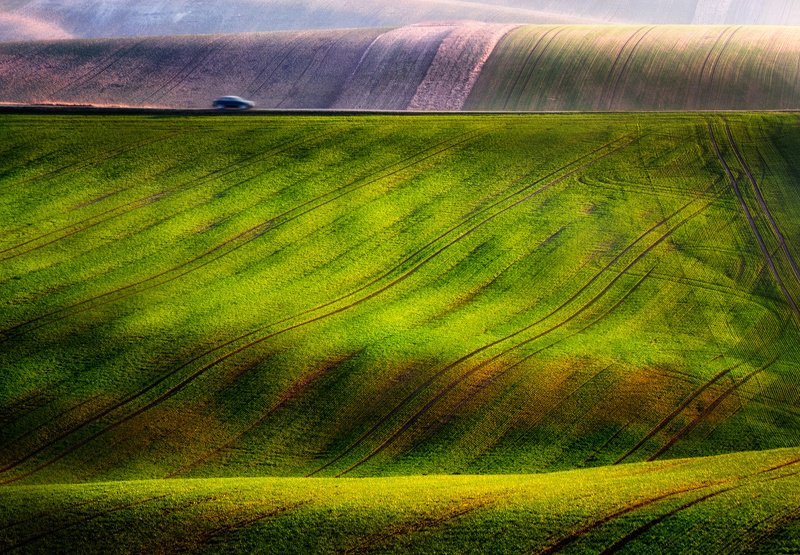 Golden hour catcher фото превью