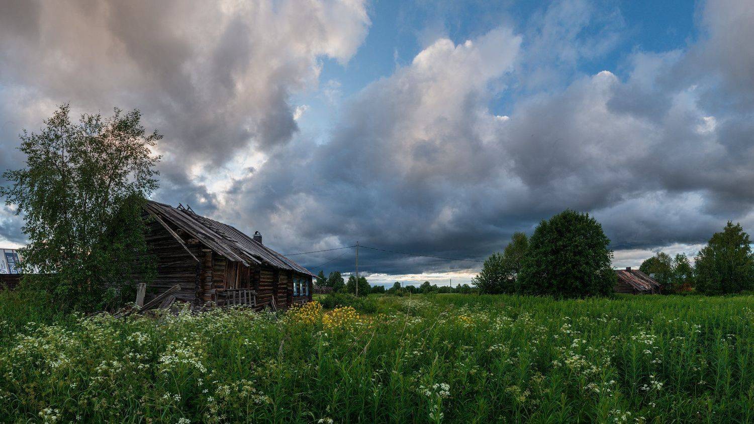 великий двор,вологодчина,кема,север,лето,, Роман Горячий