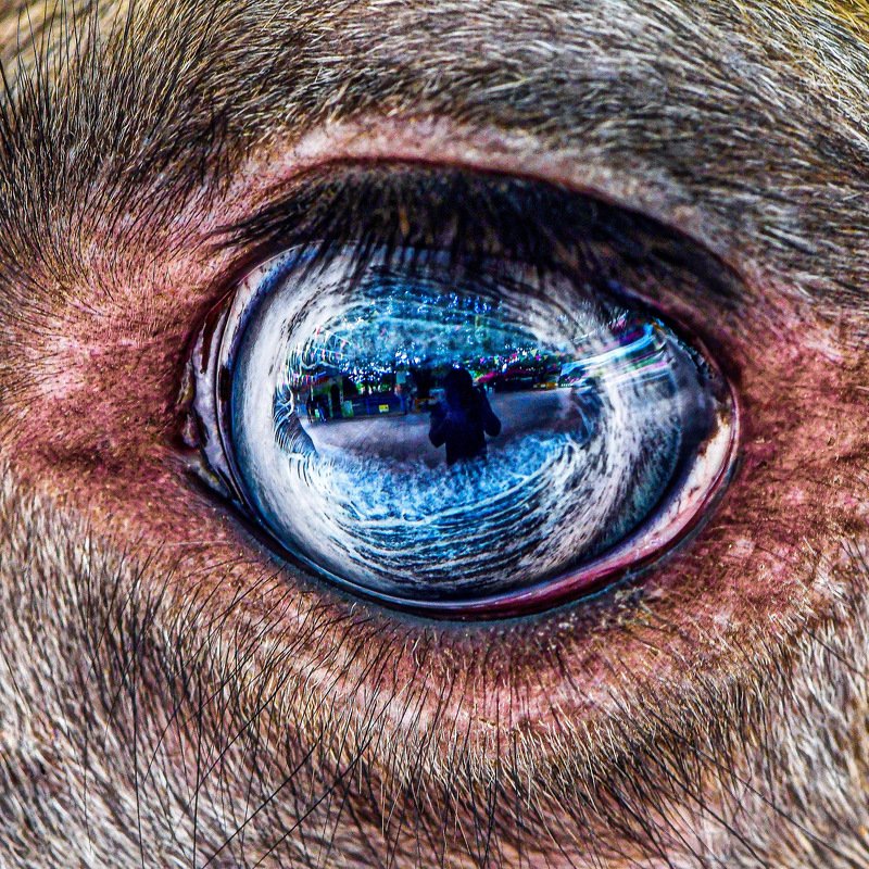 Im watching you фото превью