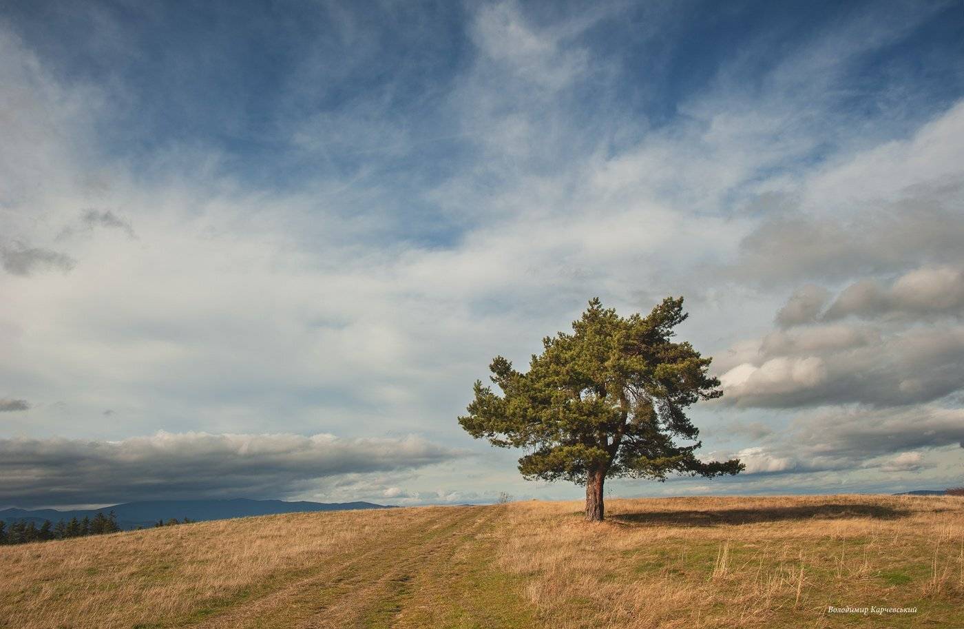 , Володимир Карчевський