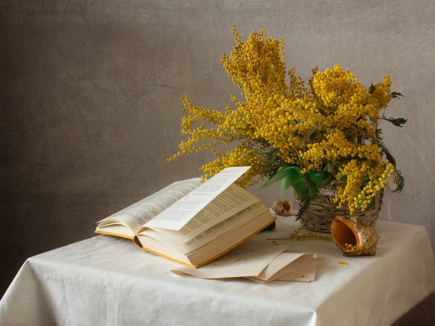 , Ольга Савостина