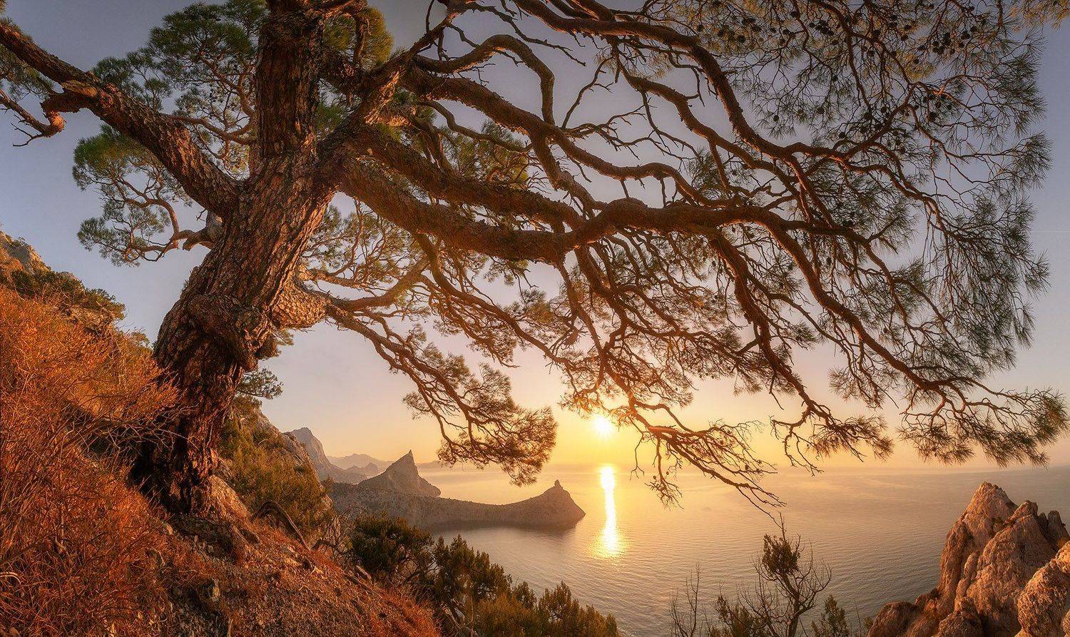 , Александр Костенко