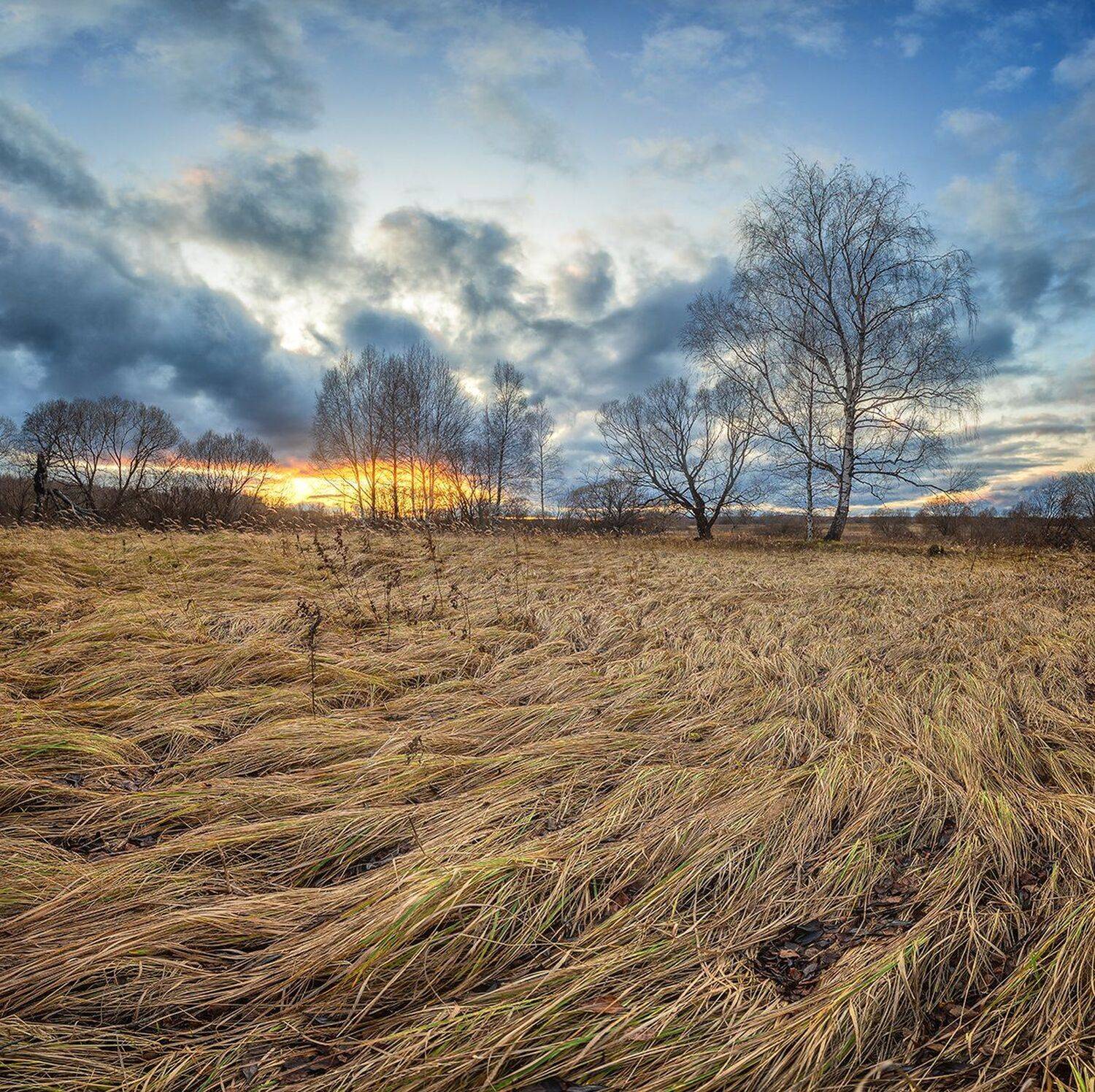 , Николай Андреев