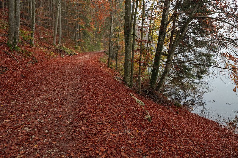Поздняя осень фото превью