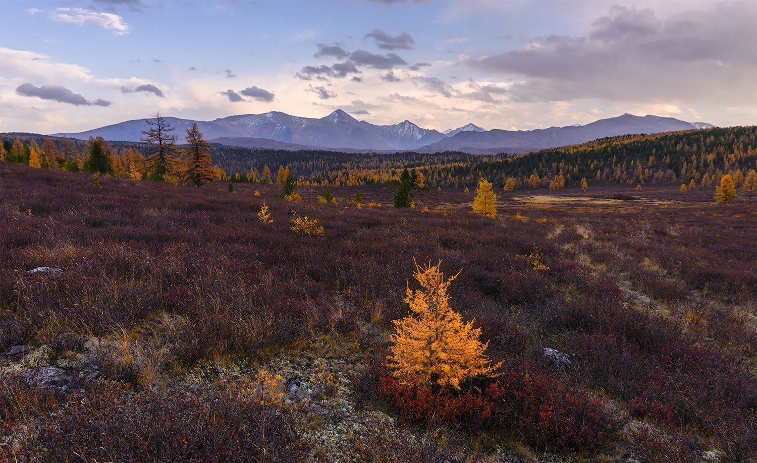 , Дмитрий Д.