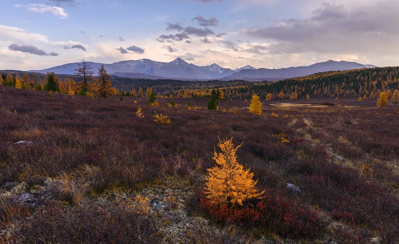 Осенний вечер... фото превью