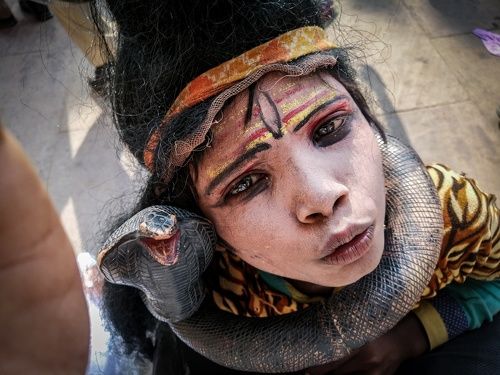 ओह.... मेरे भोले भण्डारी।  