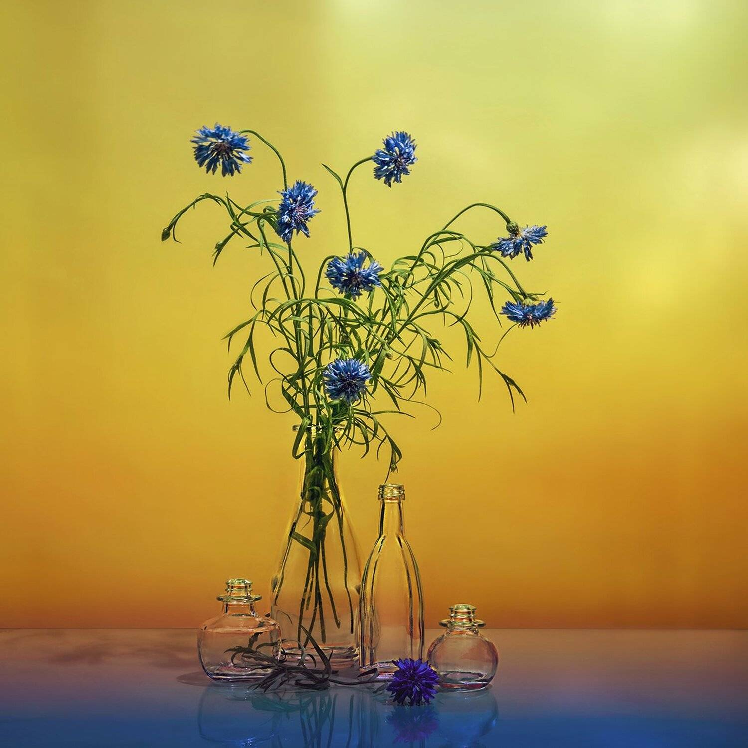 , MVO (Марк Орлов)