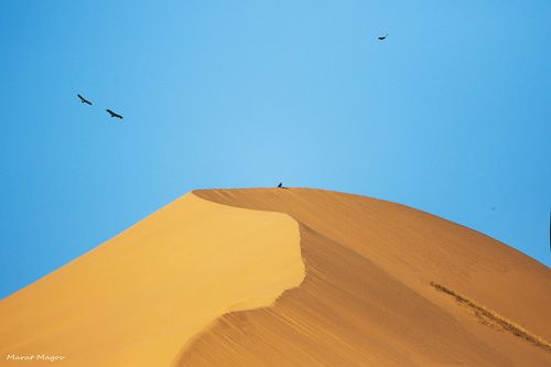 Бархан Сары кум.. (Жёлтые пески..