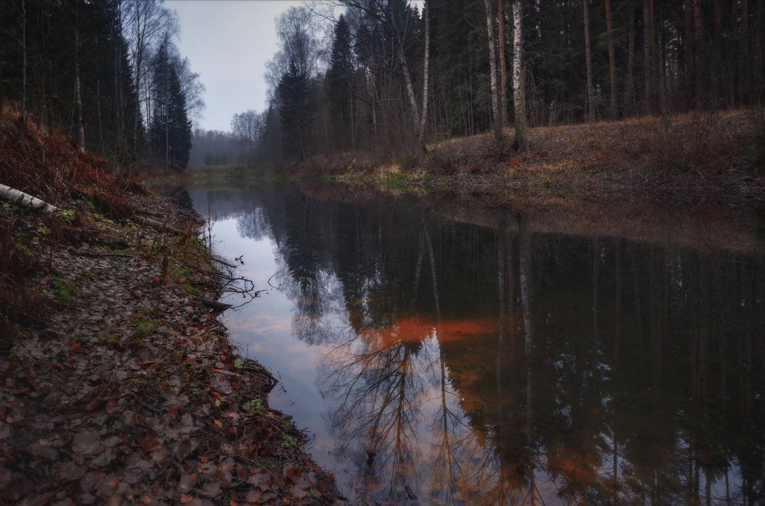 питер, павловск, павловскийпарк, павловский, рассвет, Таня SHE (Aiya)