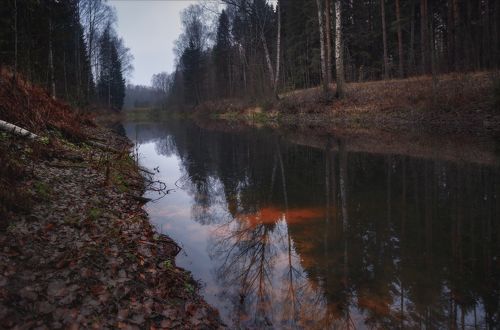 Три желания. . .