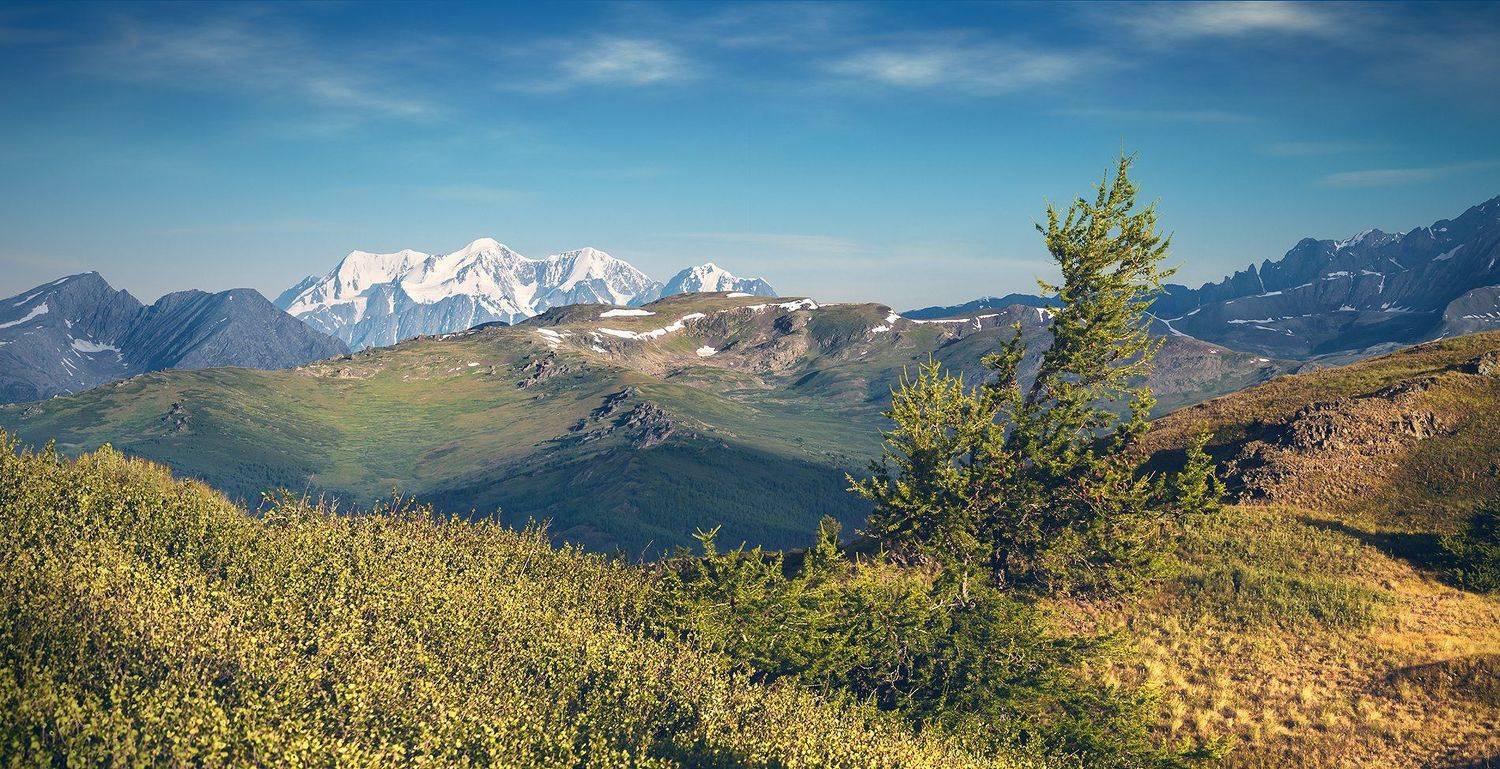 пейзаж, природа, хребет, горы, вершины, белуха, шенелю, катунский, хребет, палатки, ночевка, утро, Алтай, красивая, природа, большой, высокий, Дмитрий Антипов