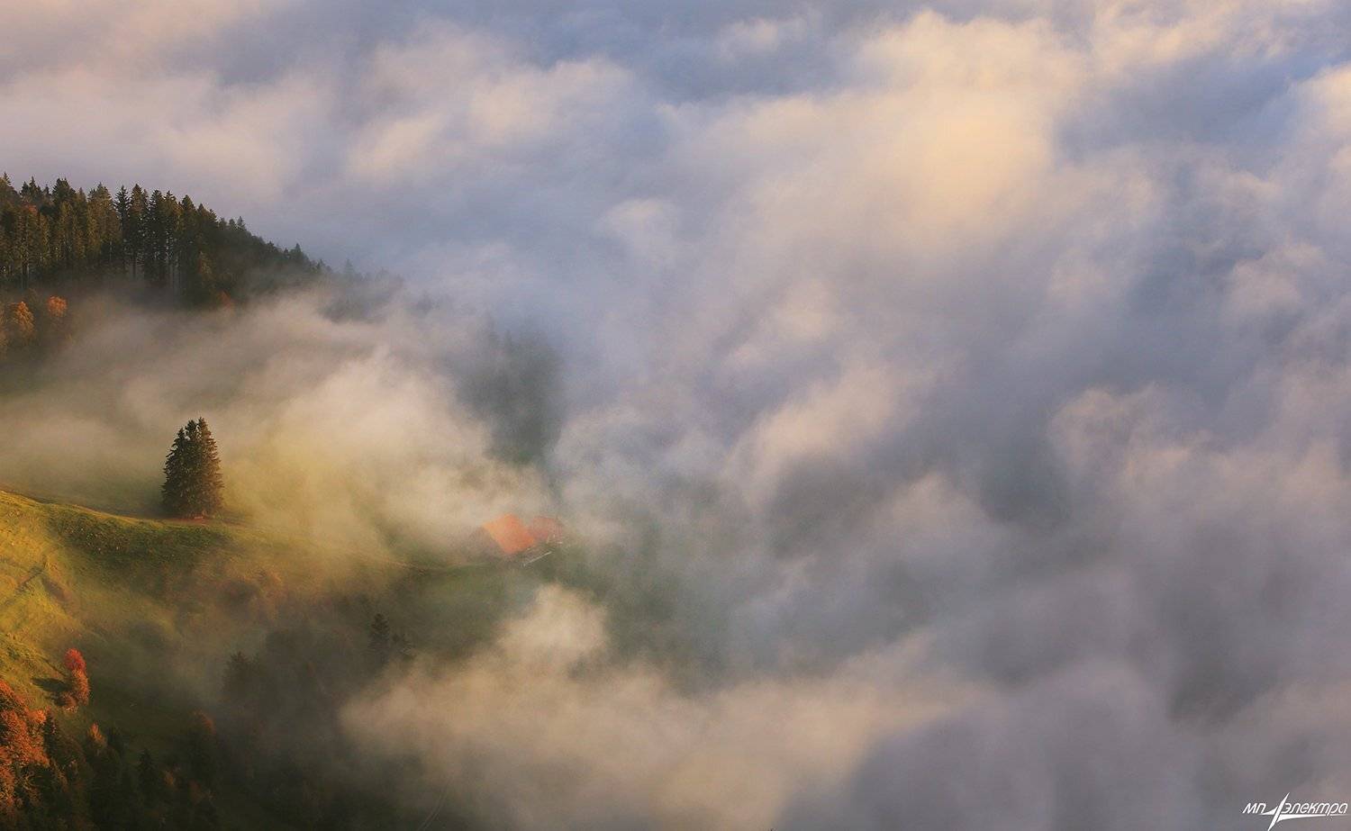 swiss, Матвеев Николай