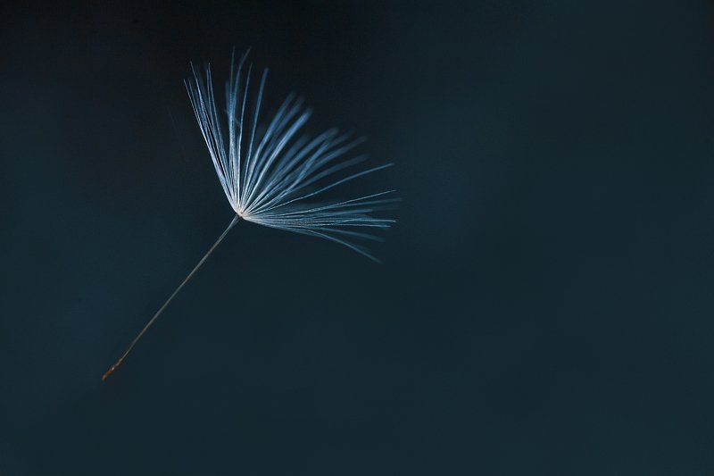 alone... фото превью