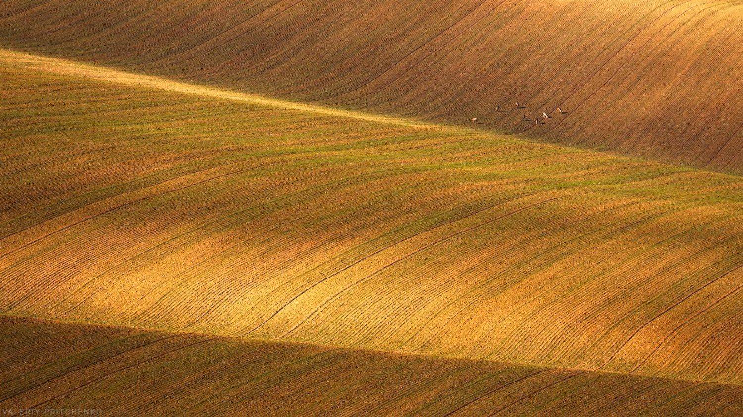 моравия, чехия, природа, пейзаж, moravia, Валерий Притченко
