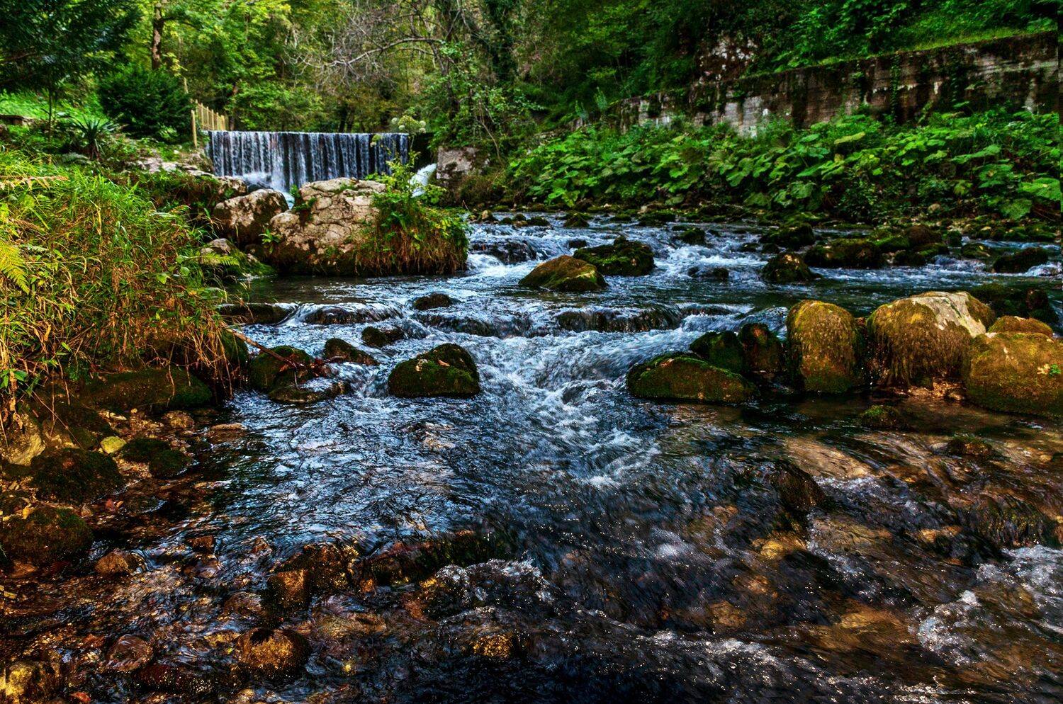 абхазия, Александр Березуцкий
