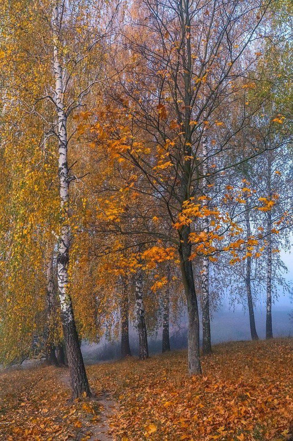 , Вячеслав Мищенко