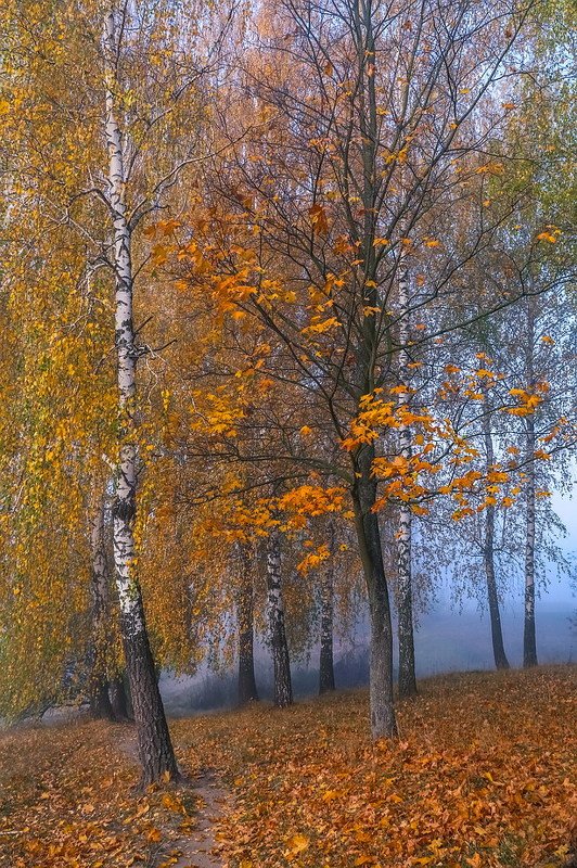 Я возвращаюсь в осень снова фото превью