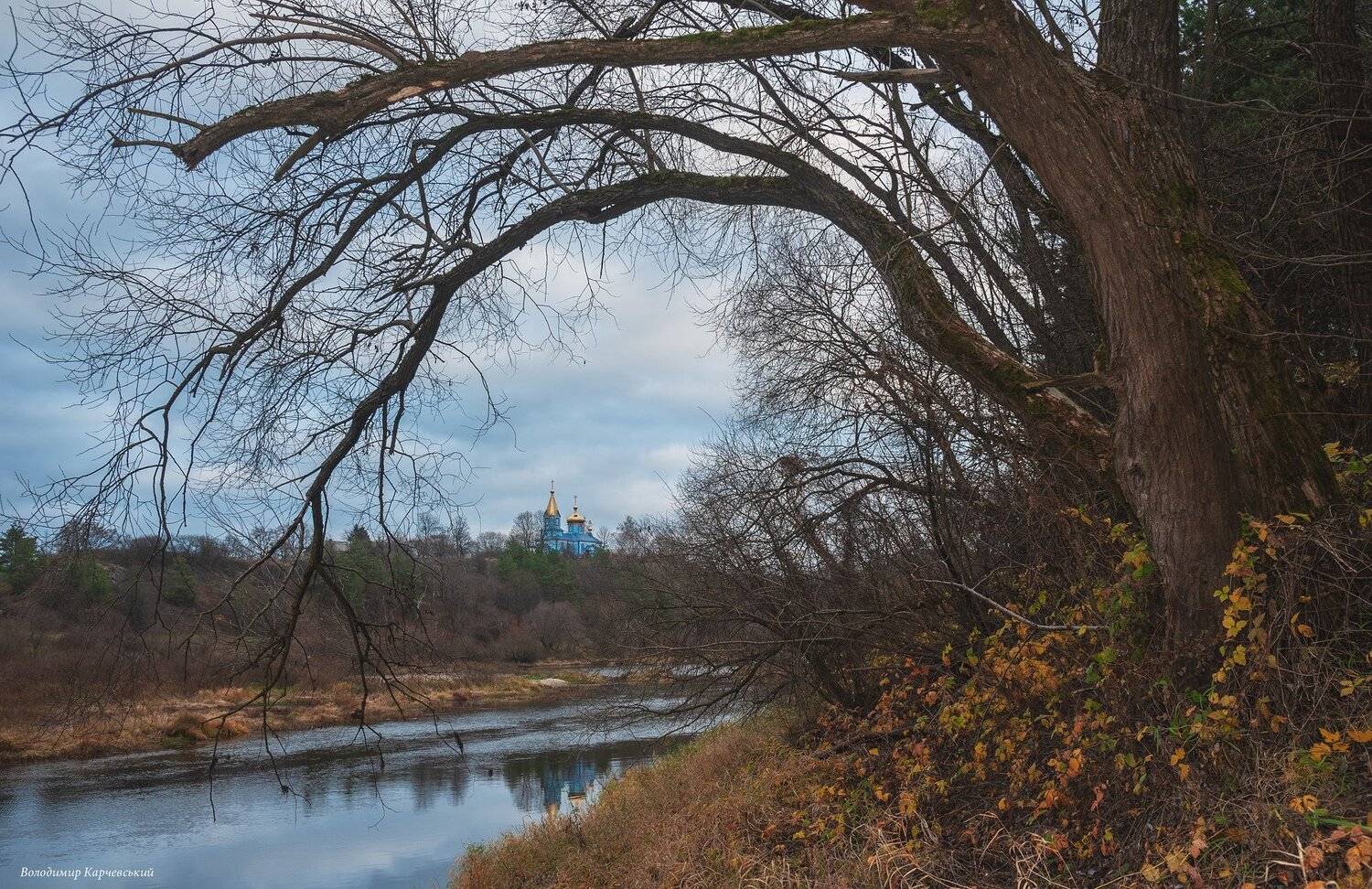 , Володимир Карчевський