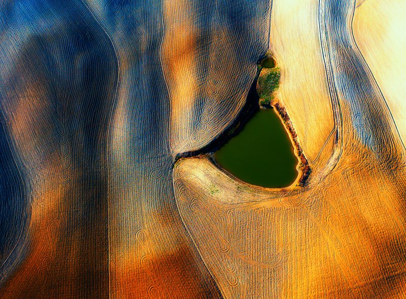 Green eye фото превью
