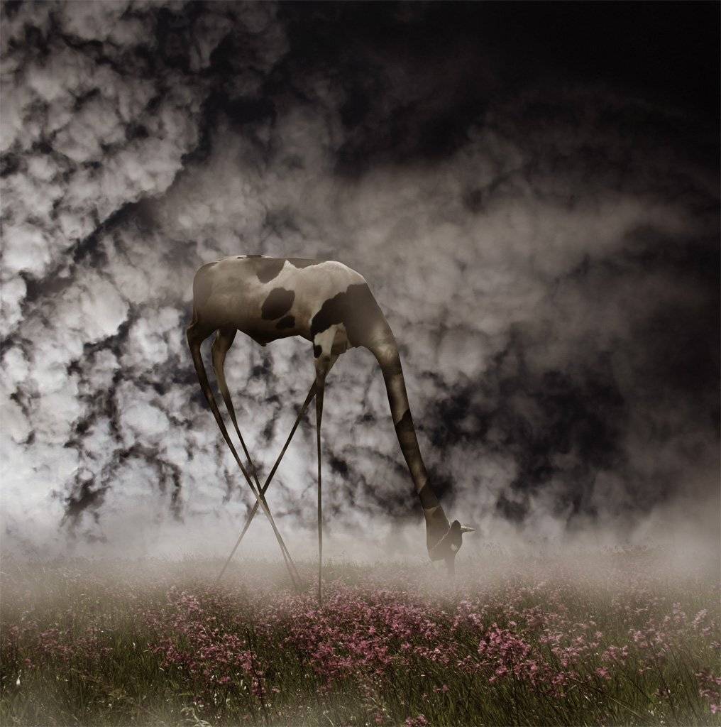 , Поздняк Виктор