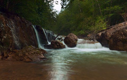 *Там леший бродит.., *))