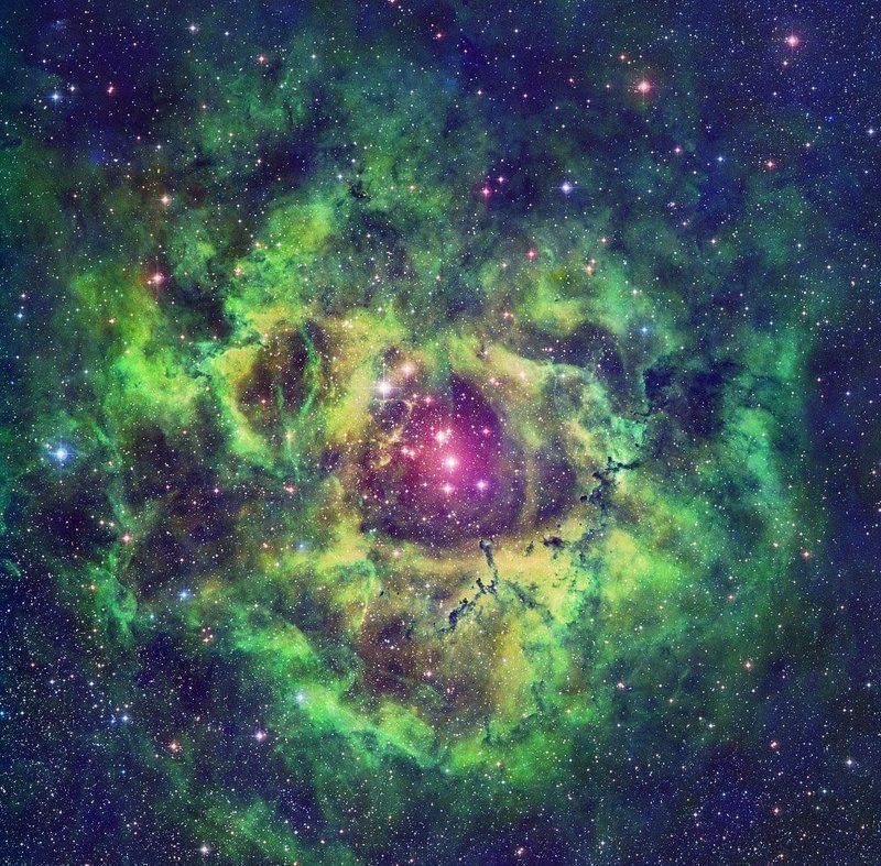 астрономия, небо, звёзды, ночная, съёмка, телескоп, туманность, розетка Туманность Розетка фото превью