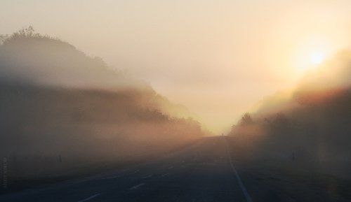 Туманное утро