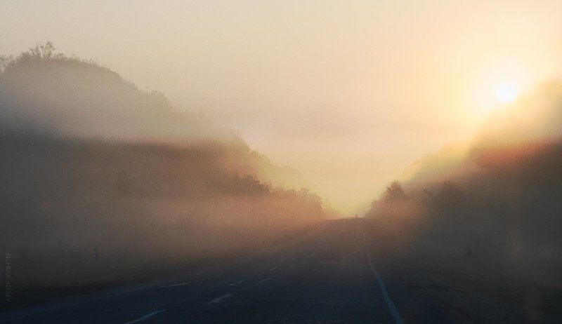 утро, дорога, туман Туманное утро фото превью