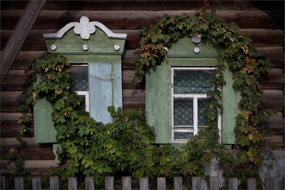 оконца, деревья, хмель, заречье, байкал, Виктор Перякин
