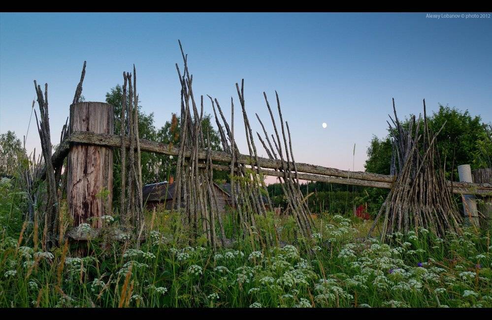 летнево, ярославская область, Alexey Lobanov