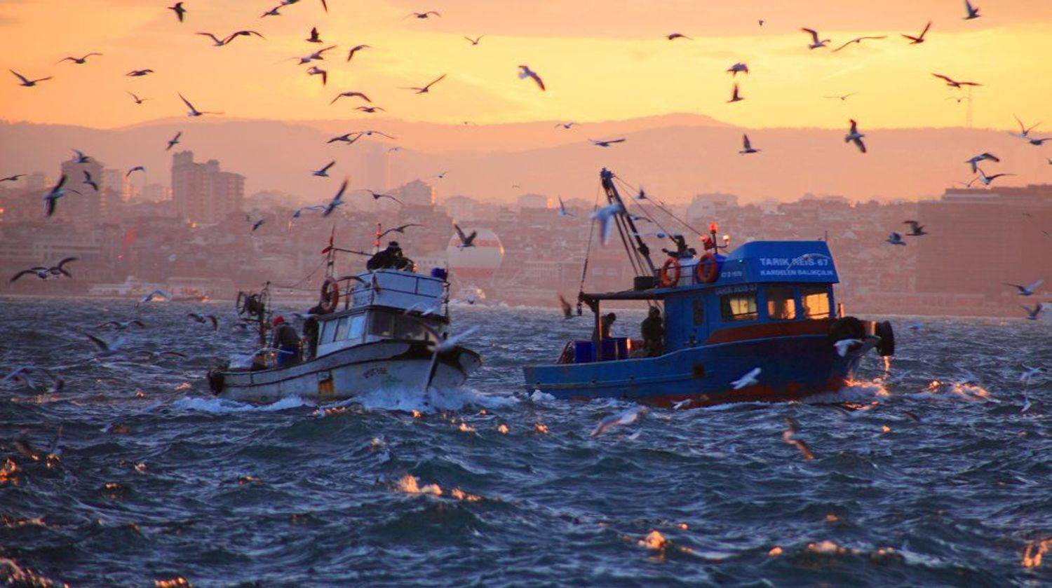 , Андрей Перешеин