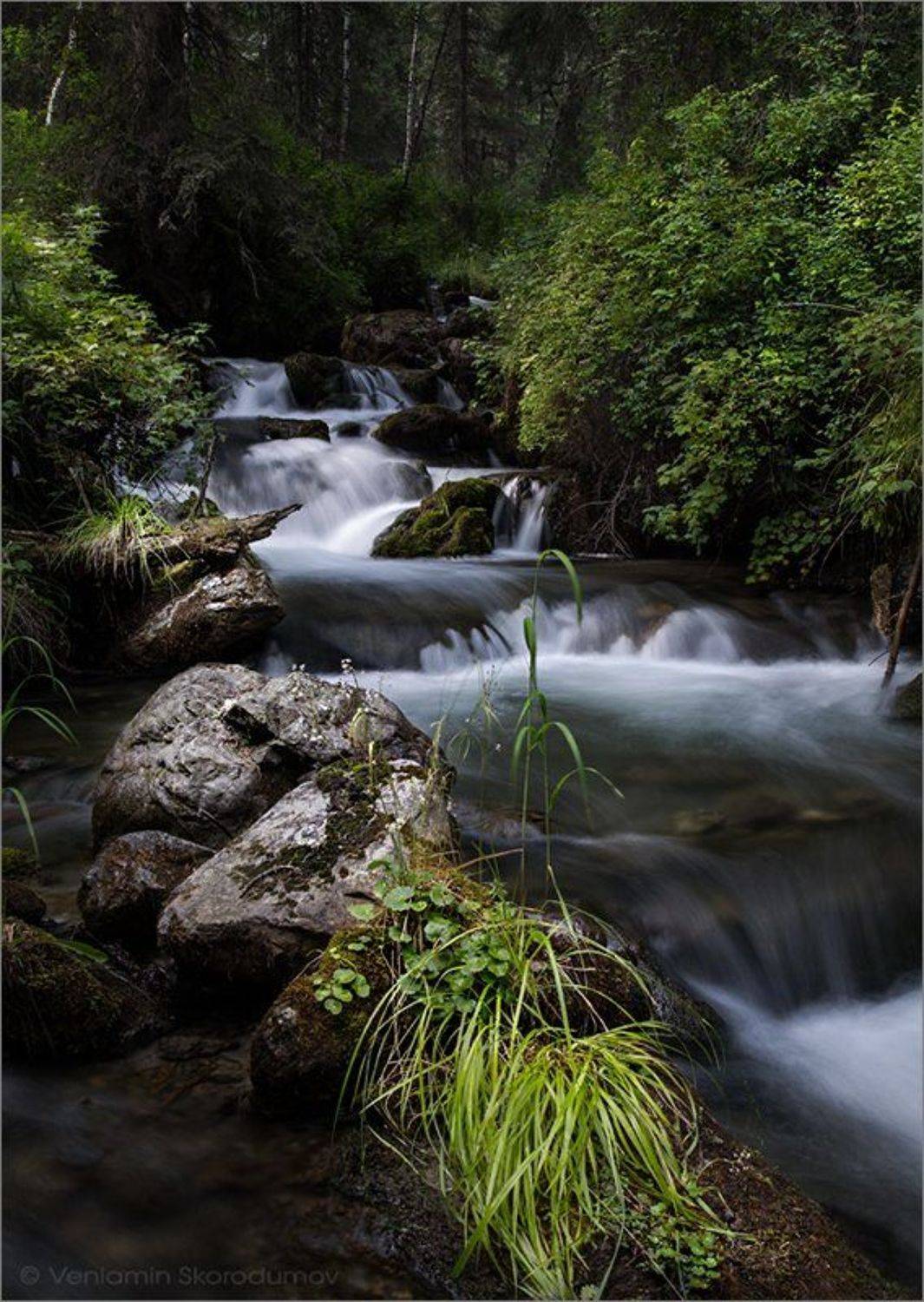 , Скородумов Вениамин