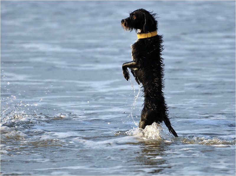 Как провожают пароходы... фото превью