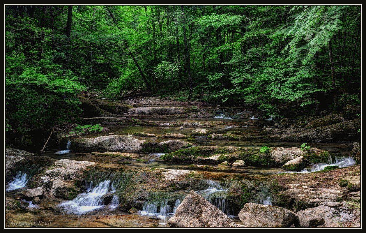 ручей, аюк, лес, камни, Александр Круль