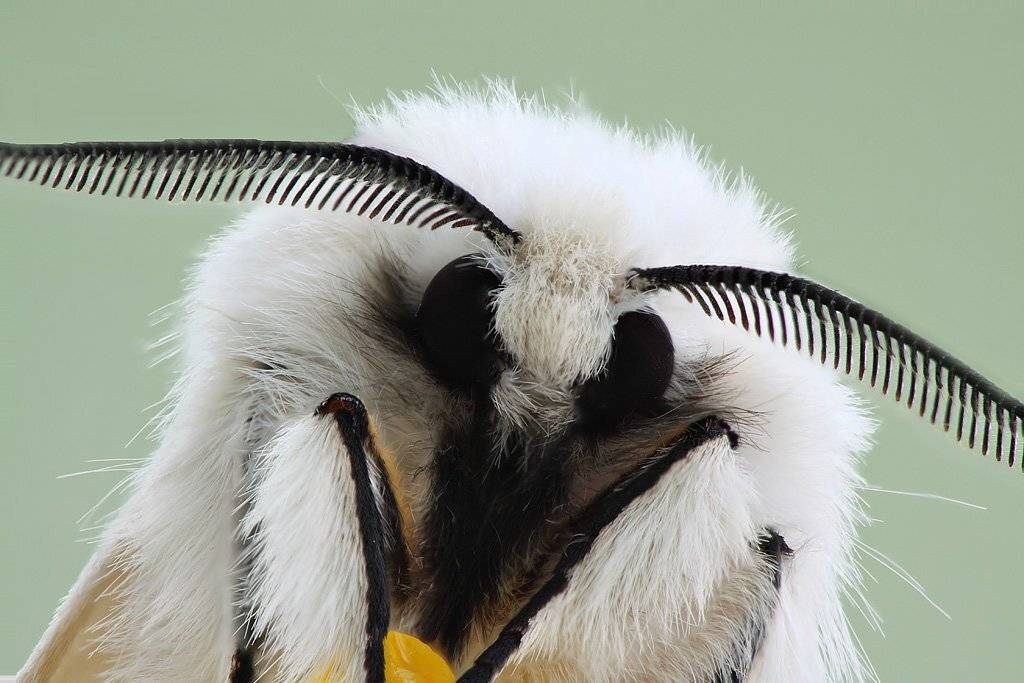 , Сергей Таланов