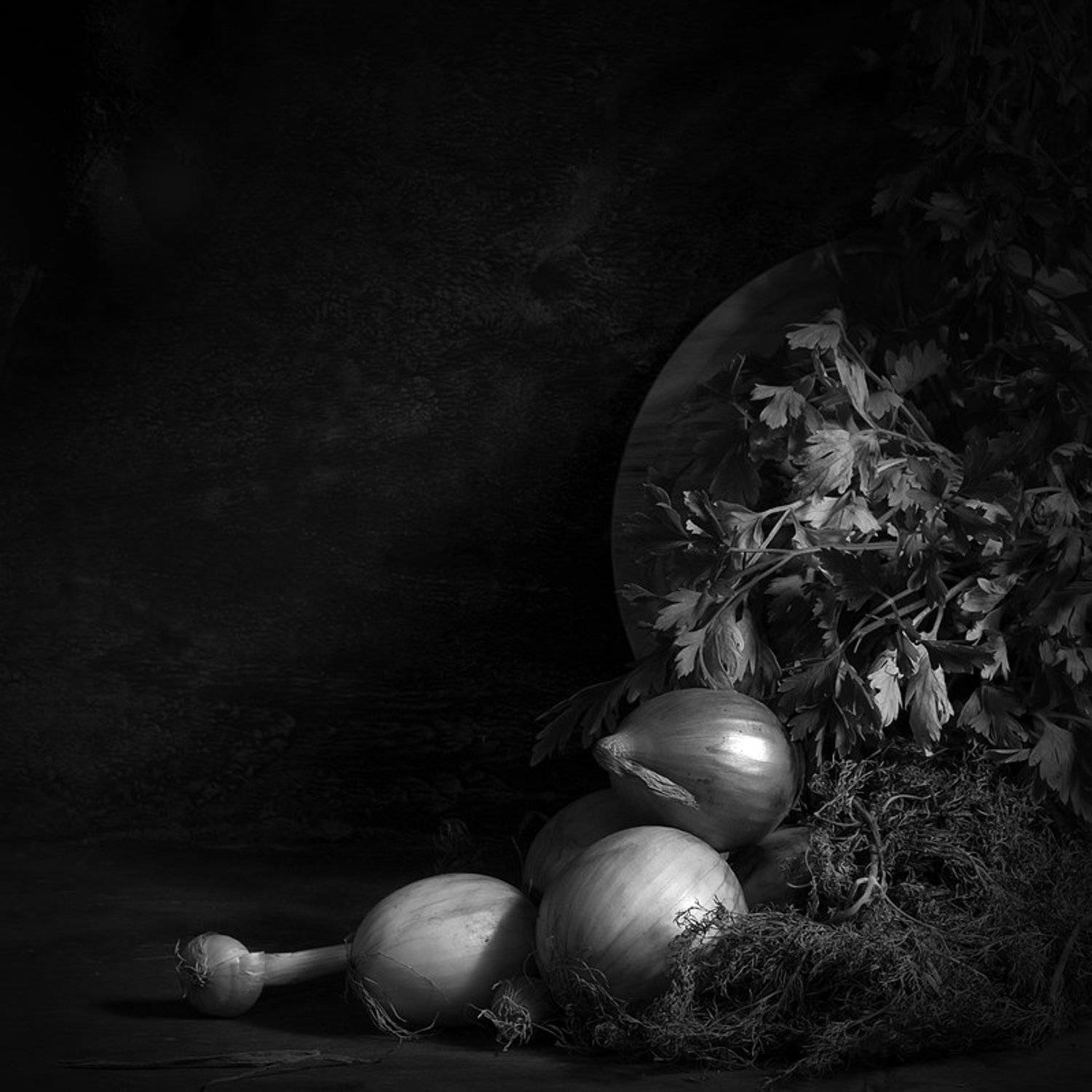 , Владимир Лестровой