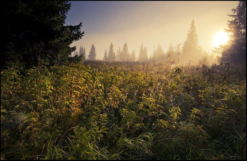 ... фото превью