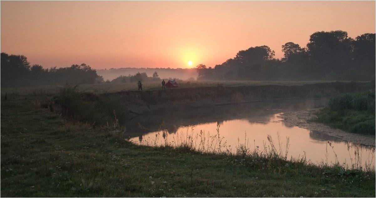 , Николай Шахманцир