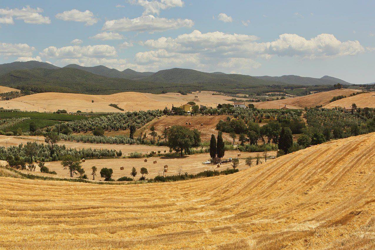 италия, тоскана, Игорь Дубровский