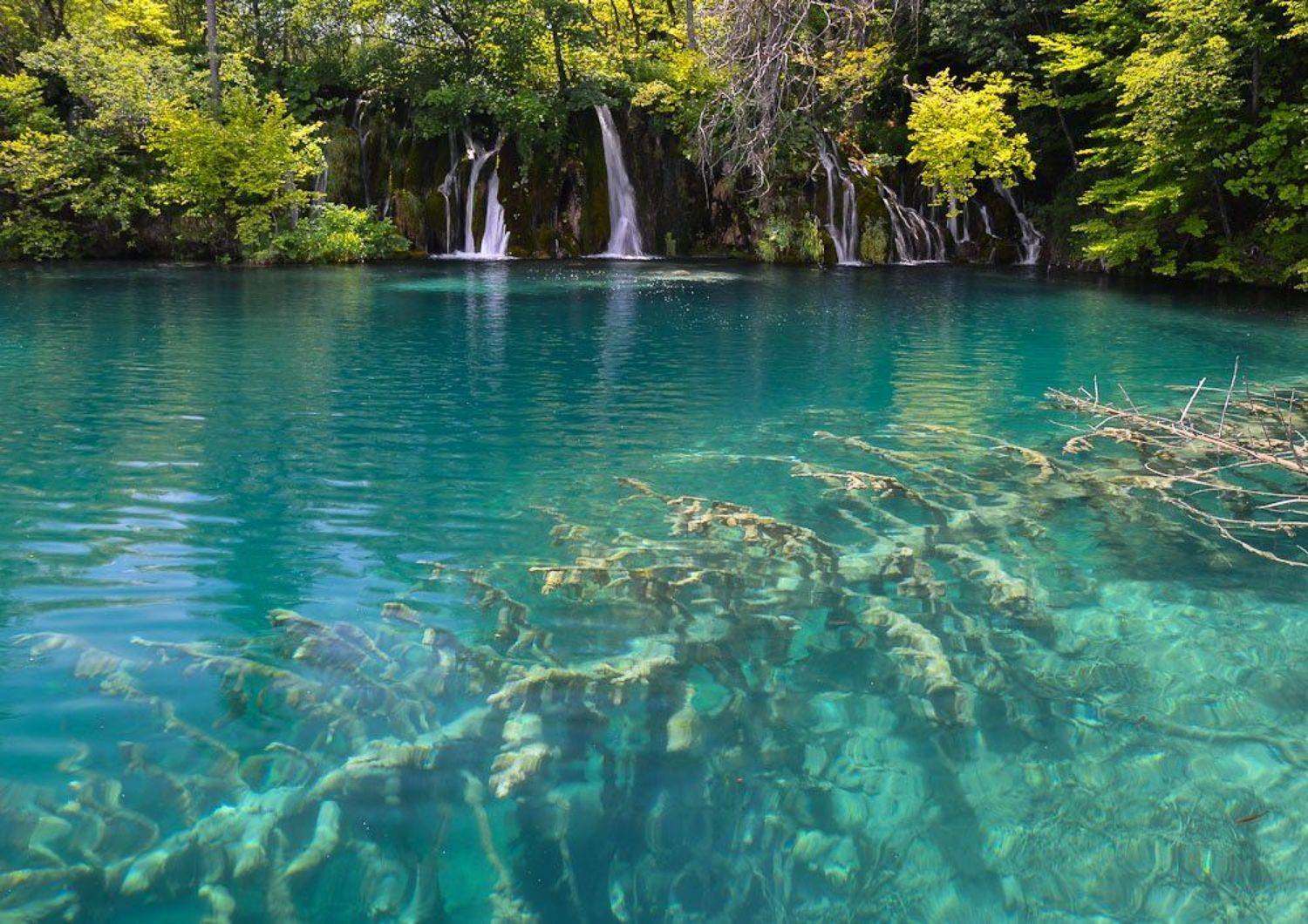 , Света и Вася