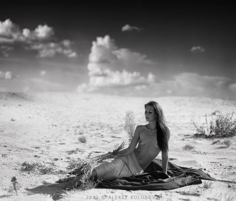 photography фото превью