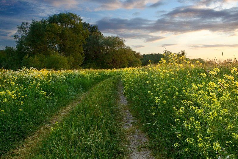 Дороги июля фото превью