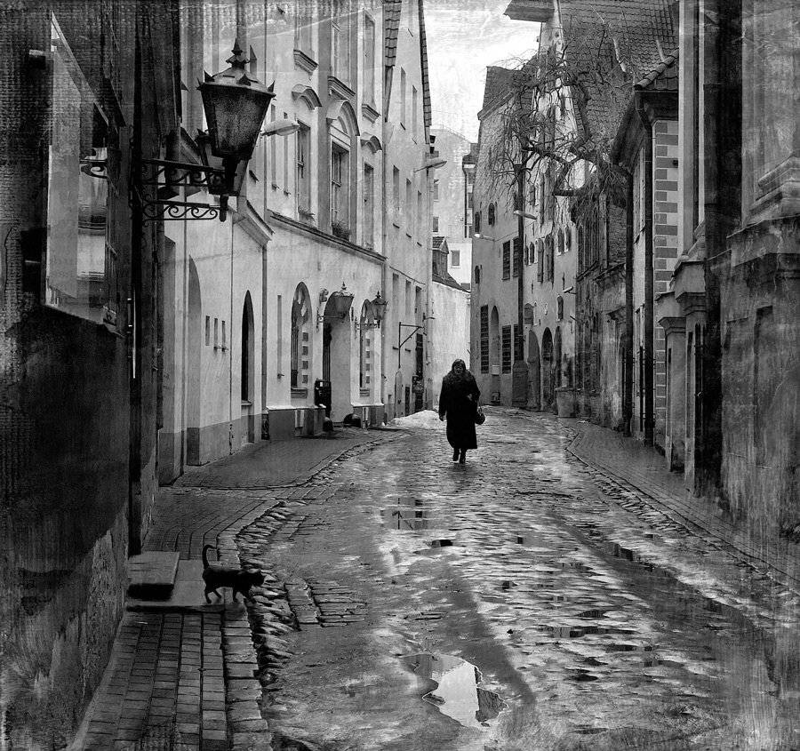 , Людмила Прокофьева