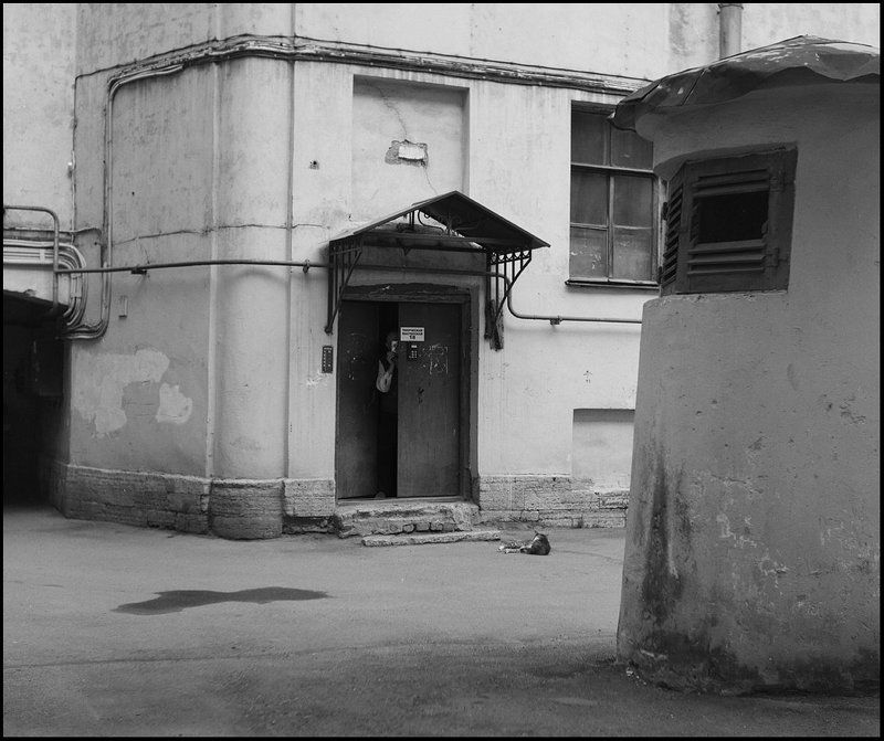 Вы так занудно молчите... фото превью